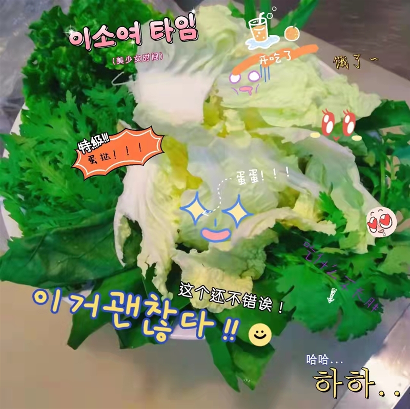 牛日廚筋頭巴腦鍋