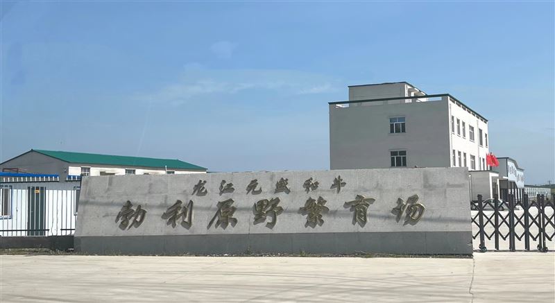 龍江元盛和牛招聘投資部專員