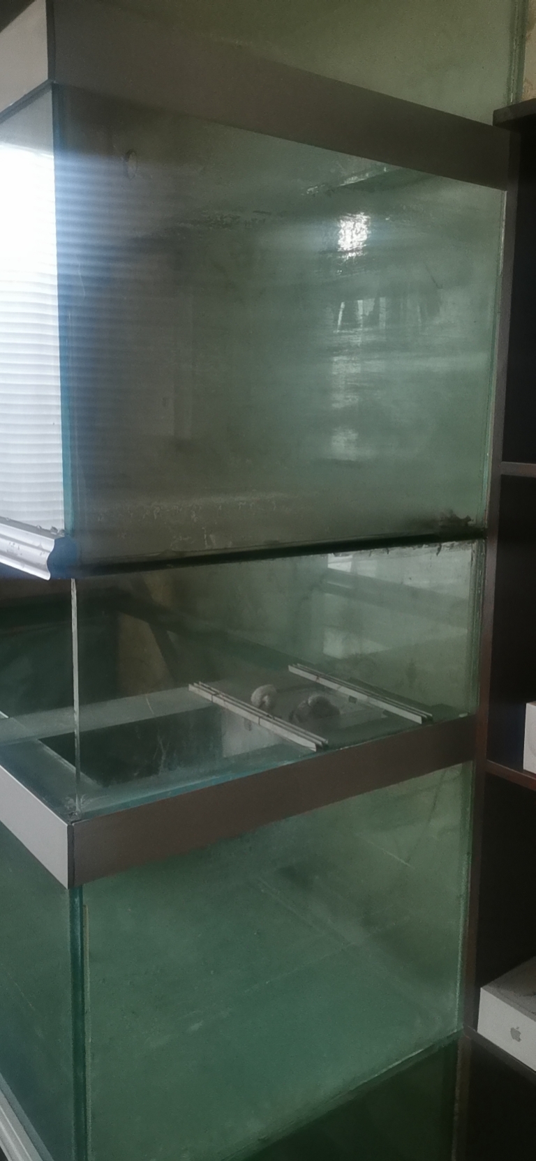 出售魚(yú)缸3個(gè)