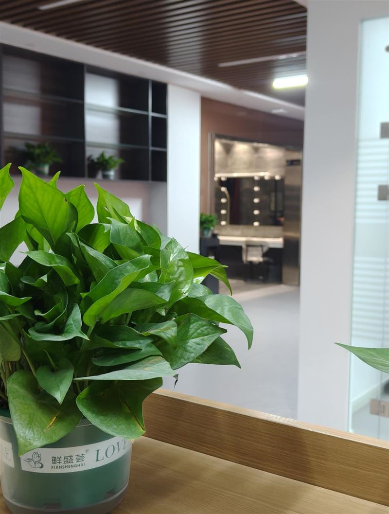 傳媒公司前臺(tái)