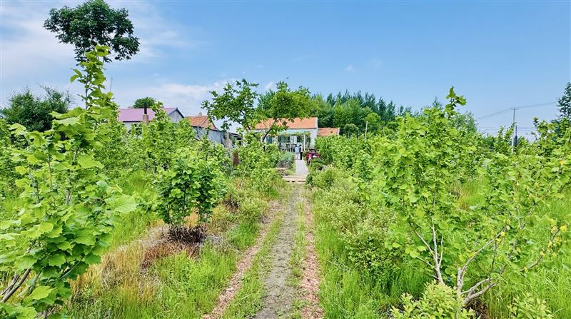 榛子園魚池出售轉(zhuǎn)讓